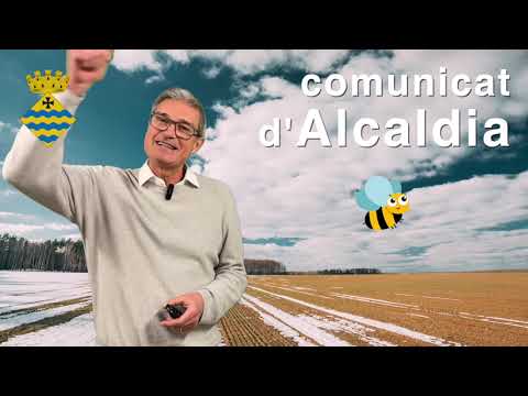 Comunicat de l'Alcaldia 306. 25 de gener de 2026
