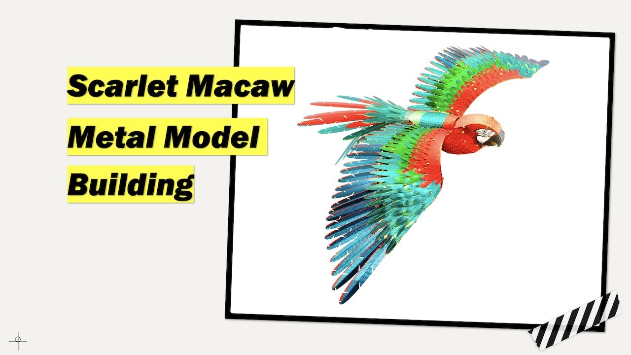 Build a Metal Macaw Bird Model with me! - Speed Build