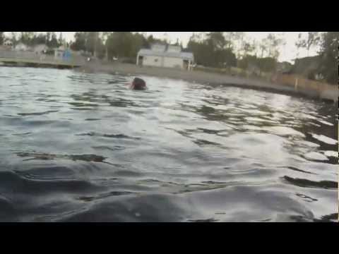 A trip to Davie's Beach