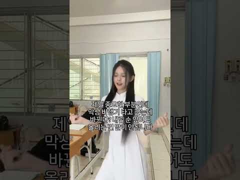 아직 베트남 여행 고민 중 이시라면 이건 체크 하고 가세요 #다낭 #다낭자유여행 #황제투어