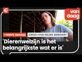 Wat betekent de nieuwe dierenwet voor deze boerin uit Twekkelo?