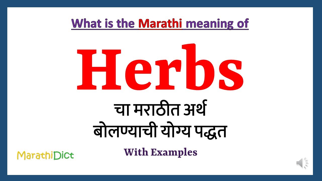 Herbs Meaning in Marathi | Herbs म्हणजे काय | Herbs in Marathi Dictionary |