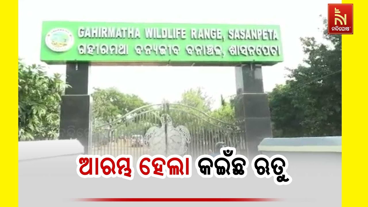 ଆଜିଠୁ ସମୁଦ୍ରରେ ମାଛଧରା ନିଷେଧ , ବିରଳ ଅଲିଭ୍ ରିଡଲେ କଇଁଛଙ?