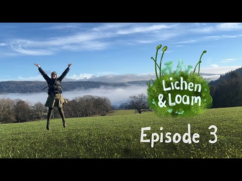 A Winter's Morning In The Valley: Lichen & Loam Episode 3