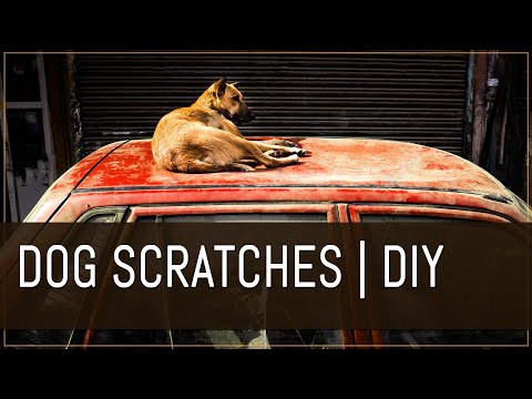YouTube video about: How to remove dog scratches from car?