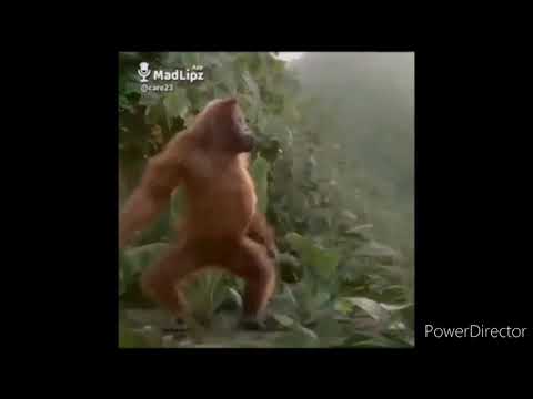 Petek je dan za zabavo