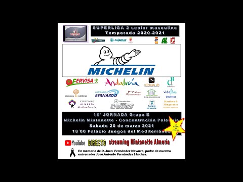 SUPERLIGA MASCULINA 2. JORNADA 18. MICHELIN MINTONETTE ALMERIA - PALENCIA