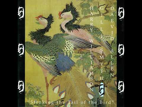Daevid Allen, Gilli Smyth, Harry Williamson - Stroking the Tail of the Bird [Full Album]