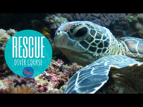 What to Expect from the PADI Rescue Diver Course
