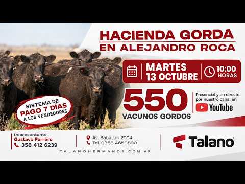 REMATE DE HACIENDA GORDA - Desde Alejandro Roca - 13 de OCTUBRE EN VIVO