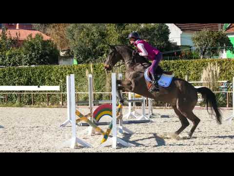 14 - My Road To Tokyo - Luciana Diniz - The Butterfly Exercises