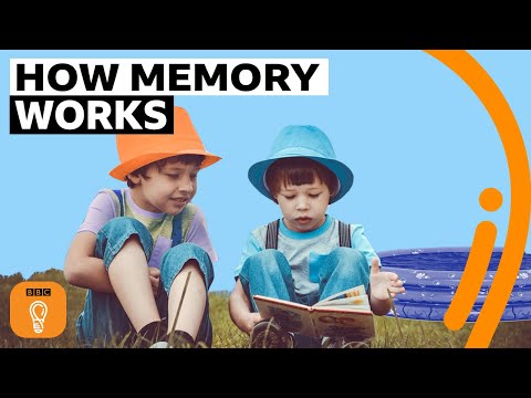 你最早的記憶是什麼？記憶是如何運作的？ (Why Your First Memory is Probably Wrong | BBC Ideas)