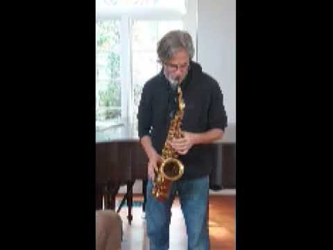 Selmer Mark VI Alto Saxophone 1970 - 1975 - Original Lacquered Brass image 17