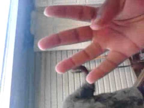 Lil cane freestyle just fucking off