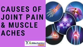 The Most Common Causes of Joint Pain and Muscle Aches