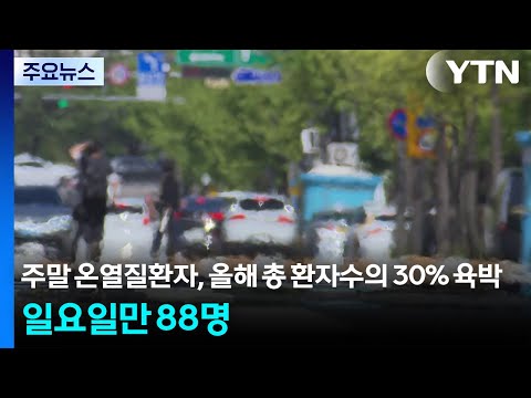 주말 온열질환자, 올해 총 환자수의 30% 육박...일요일만 88명 / YTN
