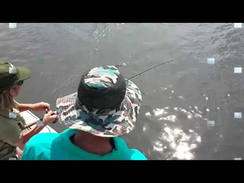 Lure fishing for Tigerfish, Three Spots and Talipia on the Okavango River