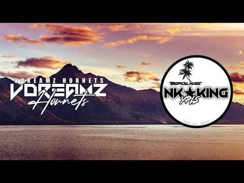 NK KING x NAIARA - SOU FODA ( YPLS REMIX ) 2020