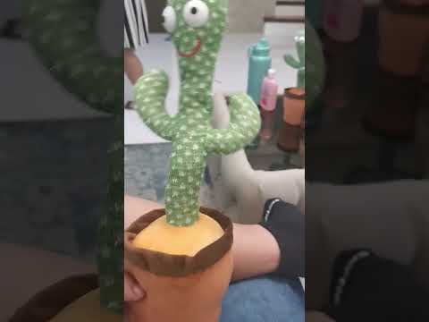 Susmaryosep! #mimickingcactus