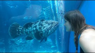 3 Best Places To Visit in Townsville, QLD - Expert Recommendations