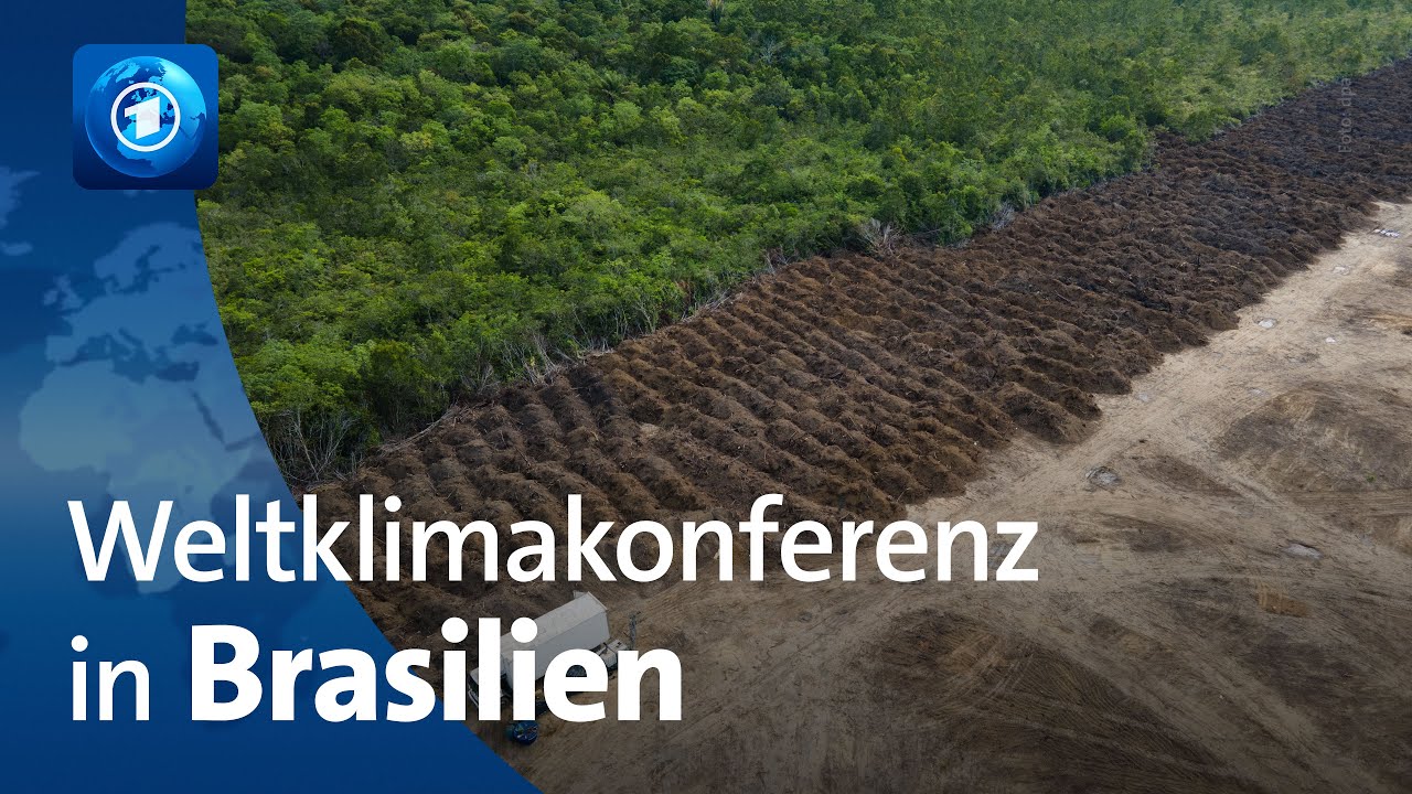 🌍 tagesschau24 Top-Thema, 05.11.2025 | Weltklimakonferenz in Brasilien