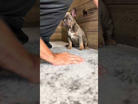 Video 3