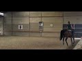 Jument SF 13 ans &ndash; Ma&icirc;tre d'&eacute;cole Dressage & TAP