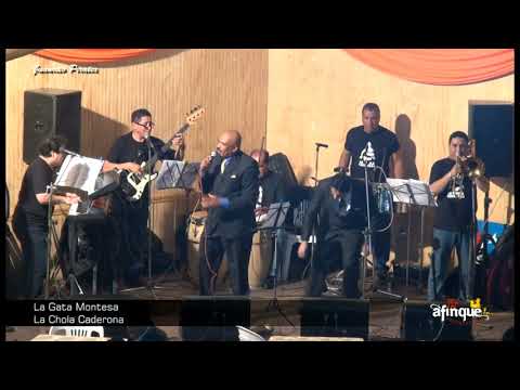 La Gata Montesa -  Walter Andrade Waltinho & LA CHOLA CADERONA