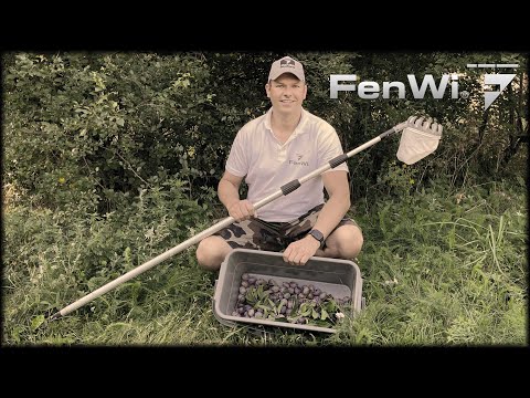 FenWi holt die Pflaumen vom Baum auf den Kaffeetisch