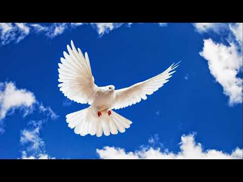 Indemn la staruinta pentru botezul cu Duhul Sfant-Liviu Ujeniuc