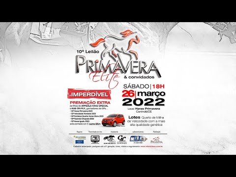 FINAL XV GP HARAS PRIMAVERA
