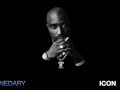 Tupac, The Evolution of Hip Hop, and How to Rap ...