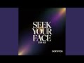 Seek Your Face