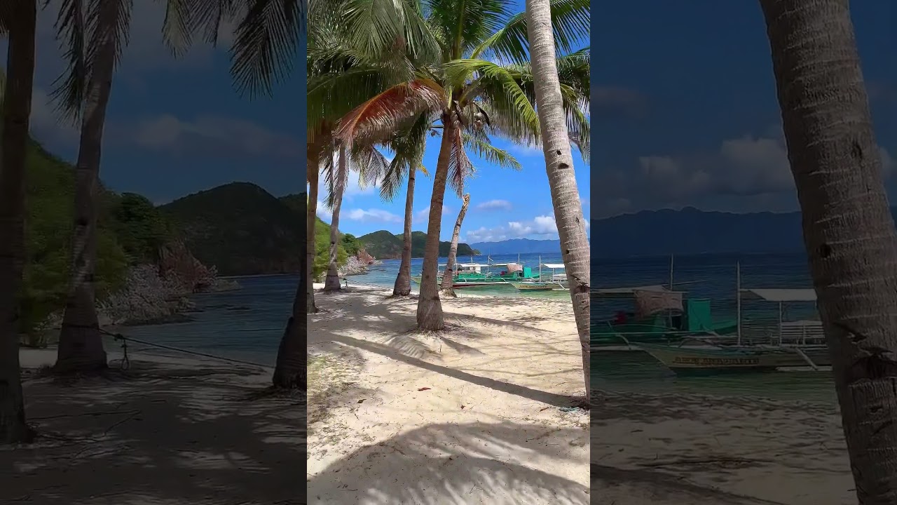 YouTube Short thumbnail