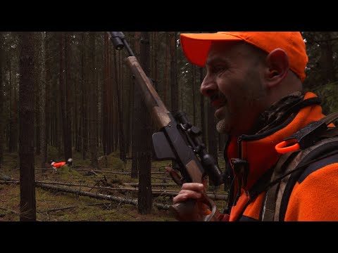 Drevjakt - Doublé på vildsvin!