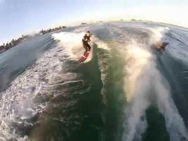 Surfing Dolphins on St. Pete Beach