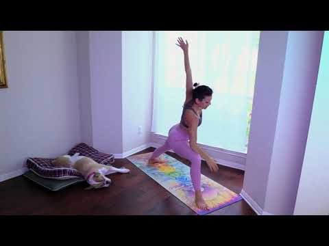 20 minute Espresso Shot Yoga Class by Ali Kamenova Yoga