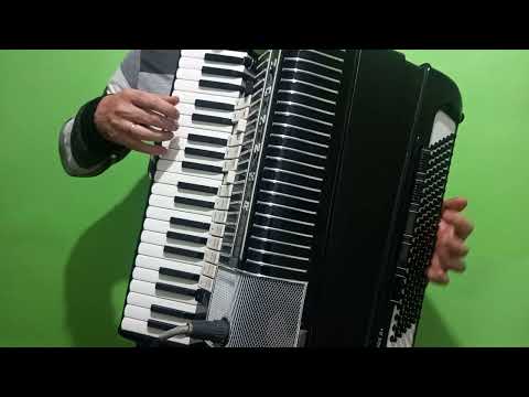 Hohner ELECTRAVOX N  demo
