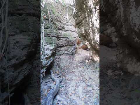 Whale Valley in Hengchun Township, Pingtung County 5 #RainforestClimber