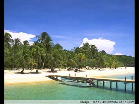 Punta - El baile de la gata ( Honduras )