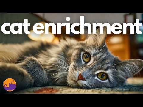 Cat Enrichment 🐱 Extra Long Music for Home Alone Cats 🌈🐈