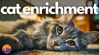 Cat Enrichment 🐱 Extra Long Music for Home Alone Cats 🌈🐈