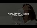 NIDUKIN INU MANA Slowed Reverb MR REVERBS