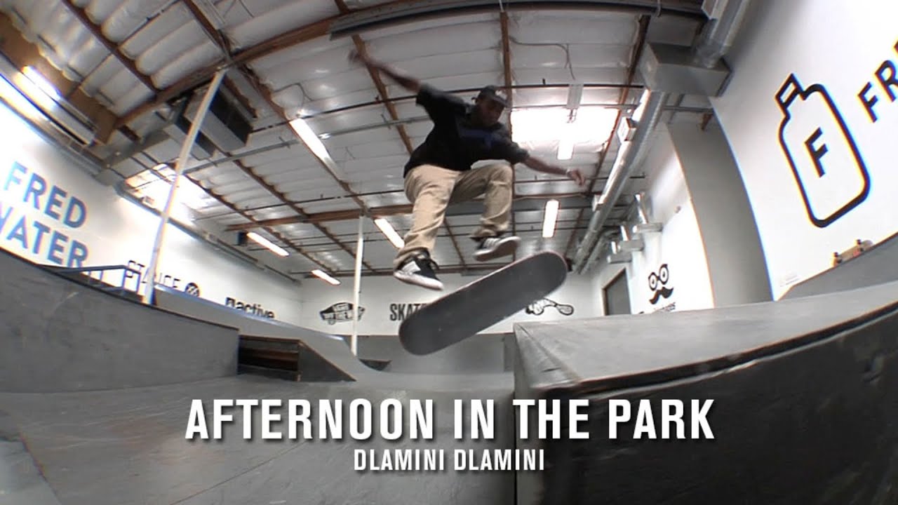 Afternoon in the Park: Dlamini Dlamini