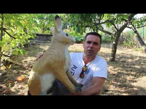 Vorbereitungen auf die DM Bowhunter