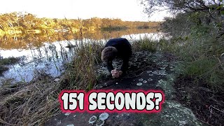 151-Second Plank at Flat Rock Creek, West Nowra — Scored a Super Cheap Flight to Tasmania!