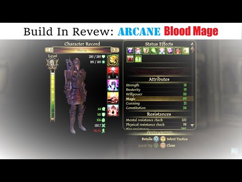 Build in Review: Arcane Blood Mage (Melee Based)