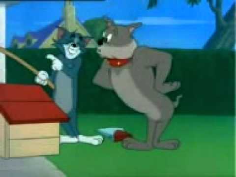 download tom and jerry videos mp4 download tom and jerry videos mp4