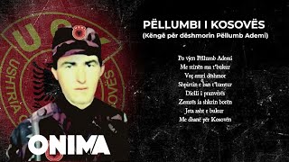 Gramoz Gërvalla - Pellumbi I Kosoves (Kenge Per Pellumb Ademin)