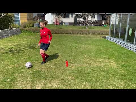 Teknikträning - tre finter